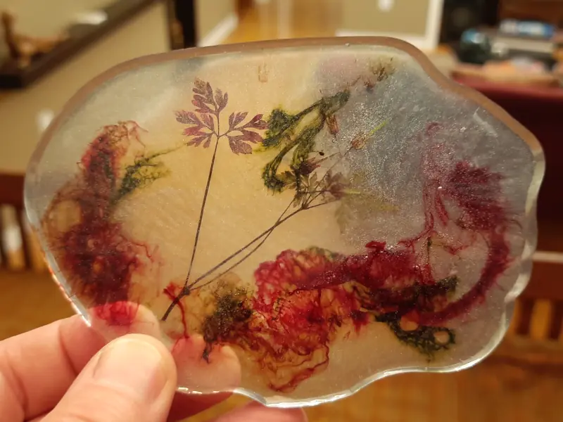 A coaster with suspended flowers