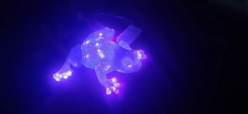 A psychedelic frog in epoxy resin, containing embedded LED lights